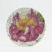 Camellia Burst Dessert Plate