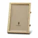 Pave Gold Picture Frame