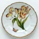 Pannonian Garden Double Tulip Salad Plate 7.75 in Rd
