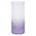 Whisky Set /1 Tumbler For Water Alexandrite Lead-Free Crystal, Cut Pebbles 400 ml