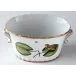 Seascape Waterlily Oval Frog Cache Pot 7 in Long
