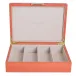 8 x 11 in Orange Croc Gold G Large Storage Box