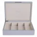 8 x 11 in Chiffon & Silver G Large Storage Box