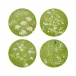 Chinoiserie Green Coasters Set of 4
