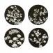 Chinoiserie Black Coasters Set of 4 (Limited Edition)