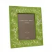 Chinoiserie Green Frame 5 x 7 in