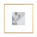 8x8 One Aperture Brushed Gold Metal Picture Frame