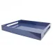 16 x 14 in Tray Blue Shagreen