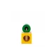 Es20 Nutcracker Yellow, Green