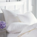 Sierra Down Alternative VirtuDown Euro Extra Firm Pillow 26 x 26 55 oz