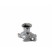 Turtle Candle Holder
