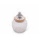 Magnolia Glass Canister Medium