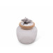 Shell Glass Canister Medium
