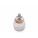 Magnolia Glass Canister Small