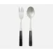 Colson Polished Silver/Black 2-Piece Serving Set Serving Spoon Serving Fork Stainless Steel/Acr