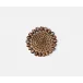 Bondi Natural Cowrie Shell/Brown Pandan Leaf Round Coasters, Set of 4