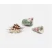 Jade Mixed Shell S/3 Decorative Objects
