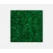 Jonathan High Gloss Faux Malachite Square Placemat, Pack of 2