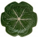 Cabbage Green/Natural Dinner Plate