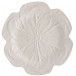 Cabbage Beige Dinnerware