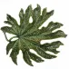 Arte Bordallo Chestnut Tree Leaf (Special Order)