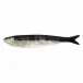 Sardine Natural - 1.4 in. h 1.4 in. w 7.3 in. l