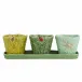 Garden Of Insects Set Of Vases With Flying Bugs