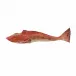 Fish And Shellfish Large Tub Gurnard