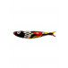 Sardine Faith