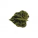 Gudrun Green Birch Leaf