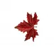 Gudrun Red Maple Leaf
