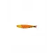 Sardine Honey