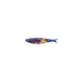 Sardine Fish Power