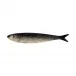 Sardine Sardinha 60 cm/ 2 ft