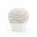 Boston Round Boxwood Topiary Blanc de Chine