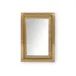 Princeton Antique Brass Rectangular Mirror