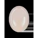 Shell Bisque Soft Pink Set of 2 Oval Plates XL