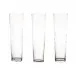Sienna Botanical Etched Champagne Glasses Mixed Set of 6