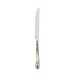 Ceres Ivory Dinner Knife