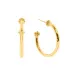Berry Slice Gold Hoop Earrings