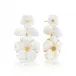 Mermaid Garden Mother of Pearl Convertible Floral Post Drop Earrings