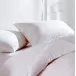 Cascada Summit 50/50 White Down/White Feather Euro Medium Pillow 26 x 26 27 oz