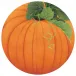 Pumpkin Paper Placemats Round 12 In