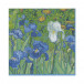 Van Gogh Irises Paper Luncheon Napkins, 20 Per Pack