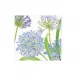 Agapanthus Garden Boxed Paper Cocktail Napkins, 40 per Box