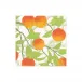 Orange Grove Boxed Paper Cocktail Napkins, 40 per Box