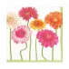 Blooming Daisy Luncheon Paper Napkins, 20 per Pack