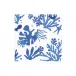 Matisse Coral Blue Boxed Cocktail Paper Napkins, 40 per Pack