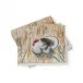 Homestead Turkey Taupe Paper Luncheon Napkins, 20 per Pack