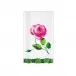 Sceaux Chic Guest Towel Napkins - 15 Per Package